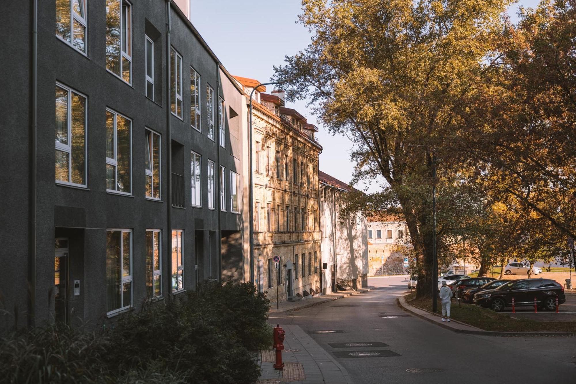 Ivis House Modern Apartment In Vilnius Old Town With Balcony Dış mekan fotoğraf